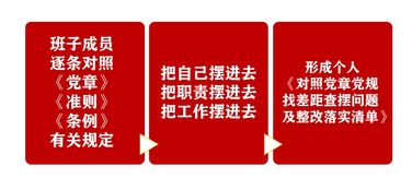 图解公司主题教育检视反思环节各项工作